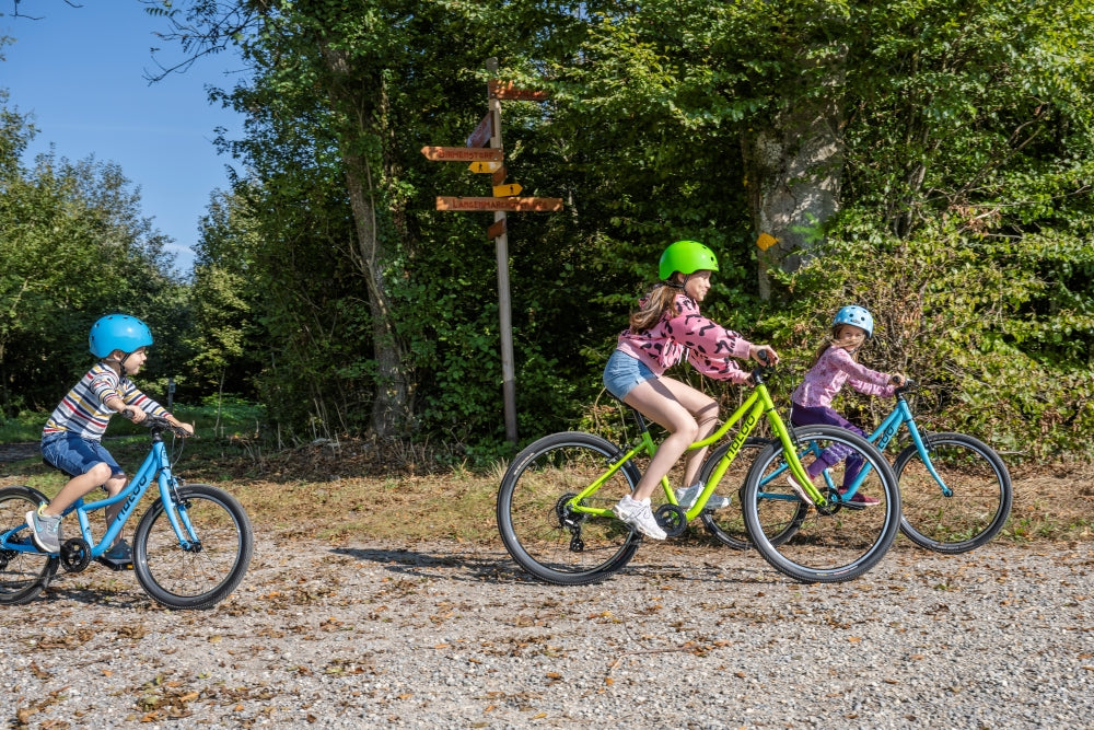 Naloo Chameleon MK2 24"