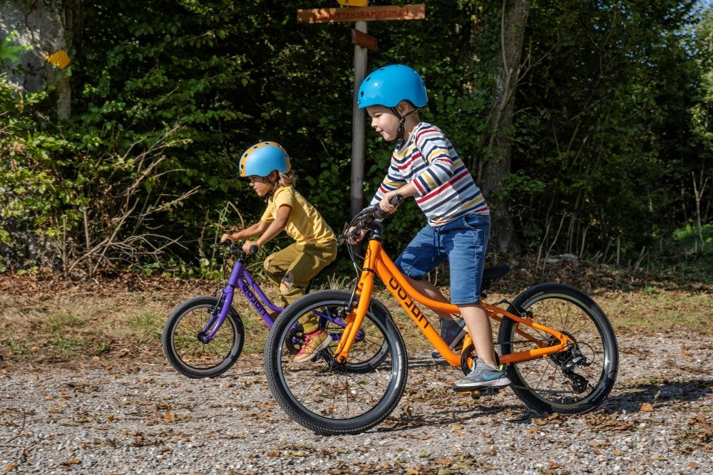 Naloo Chameleon MK2 26"