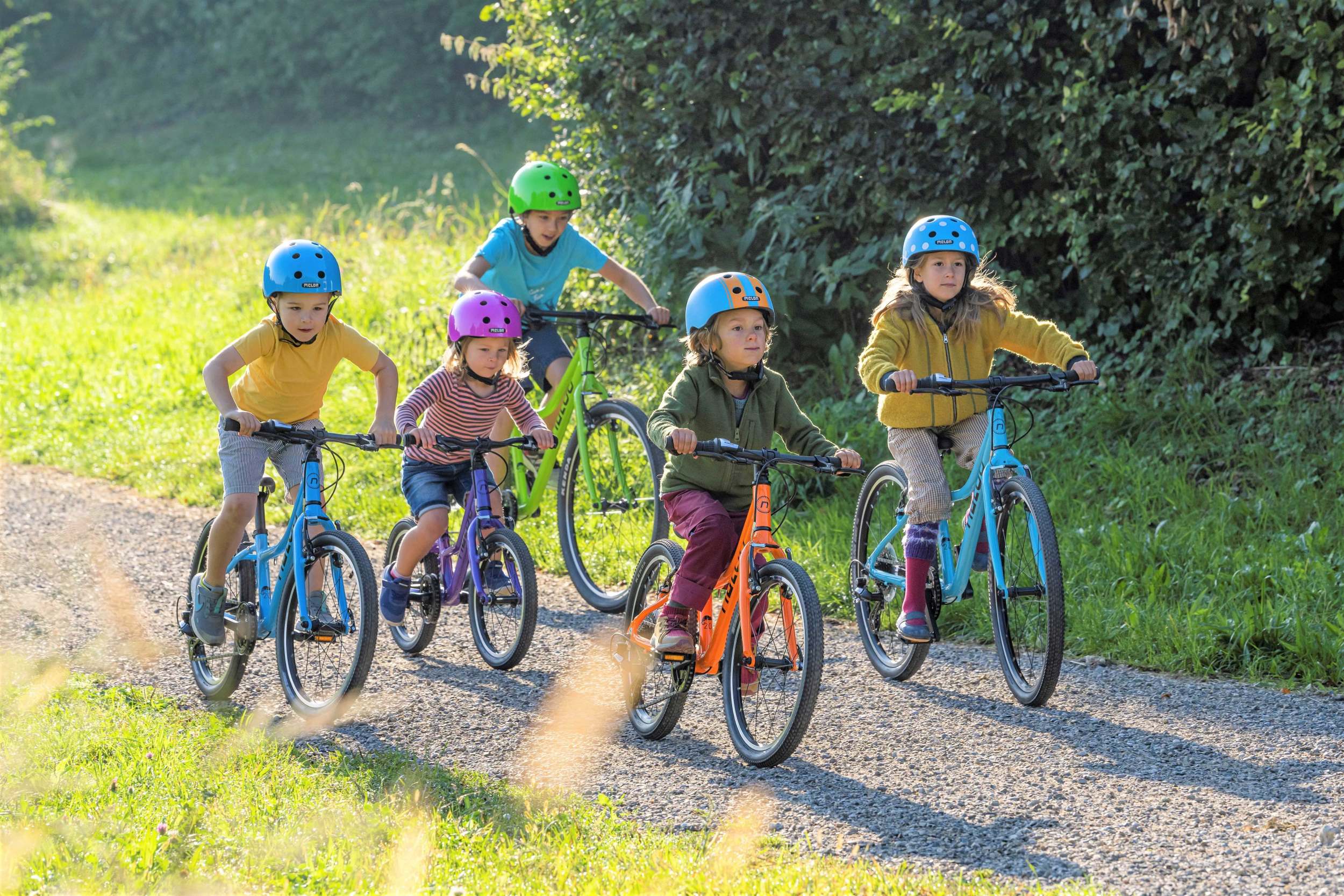 Naloo Chameleon MK2 24"